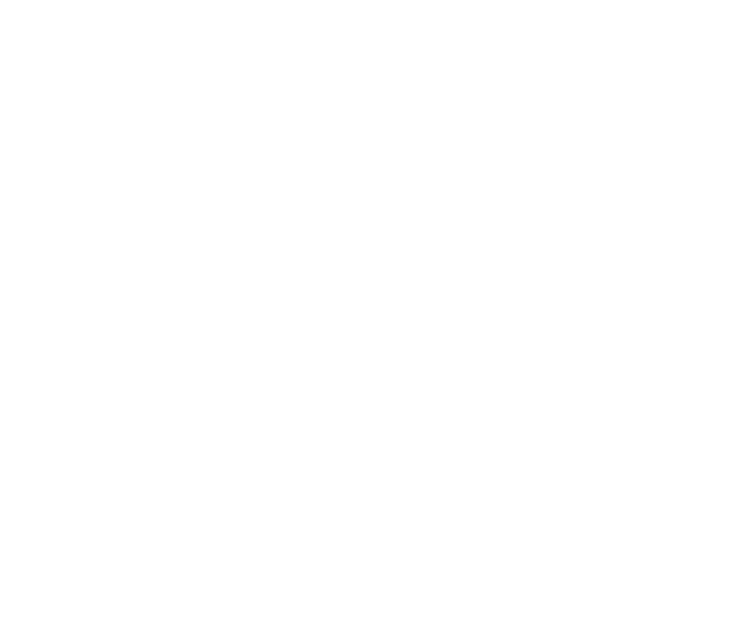Beyond Any Limits logo